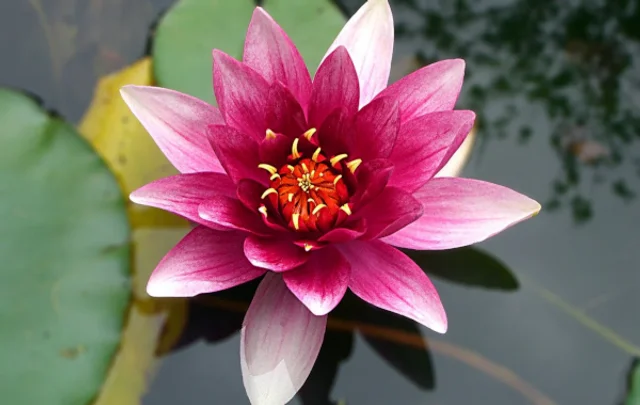 Mindful Merchandising: How DharmaCrafts Boosted Sales with Personalization Strategies